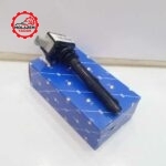 کوئل دنا ایساکو - تصویر 2